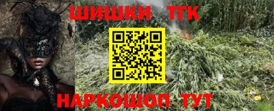 крисы Будённовск