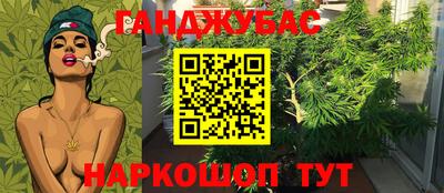 крисы Будённовск
