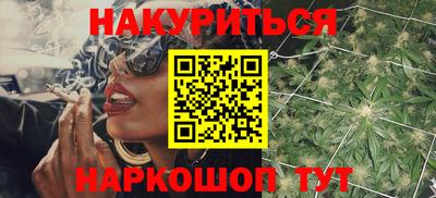 крисы Будённовск